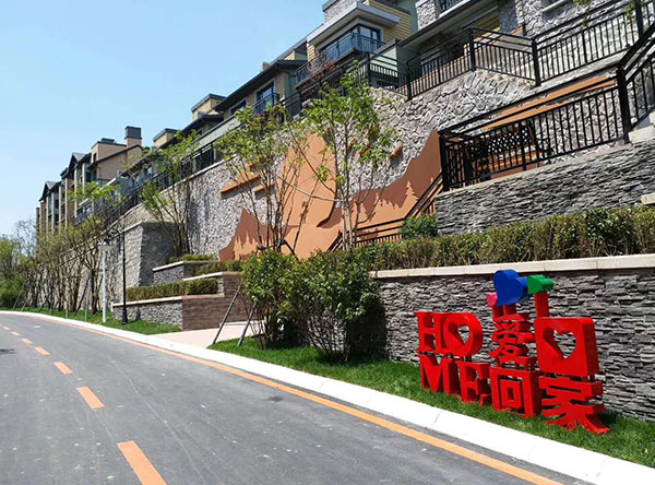 惠(huì)斯勒項目